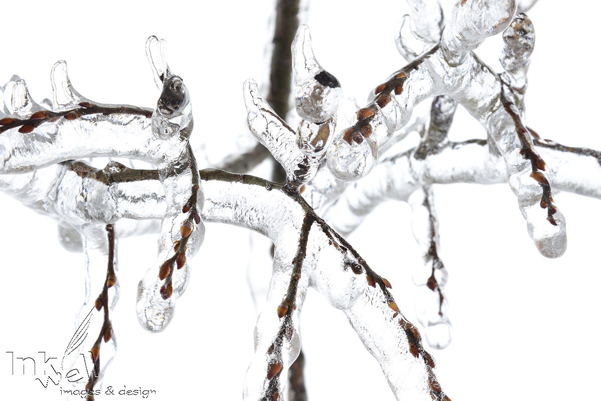 Art prints-details/macro, Ice