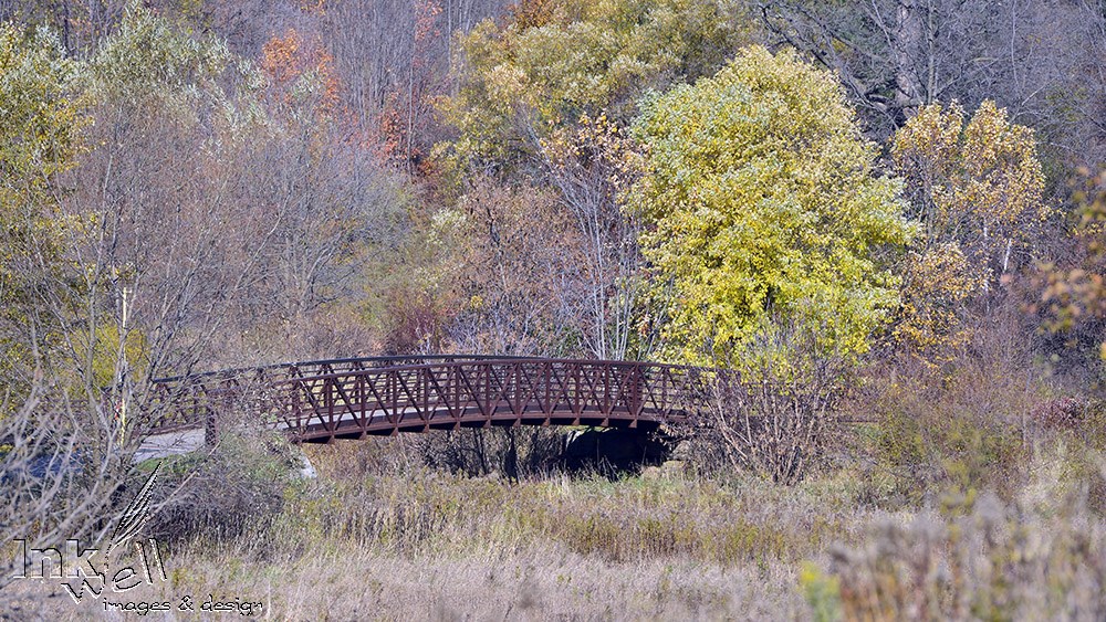 Art prints-landscape, Etobicoke Creek, Brampton ON