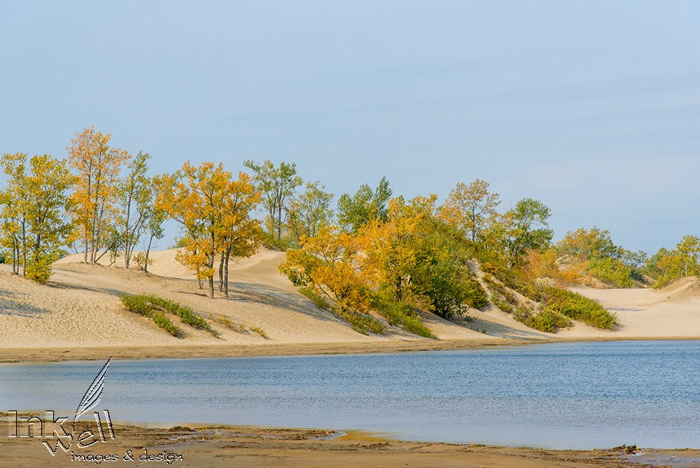 Art prints-landscape, Sandbanks Prov. Park ON